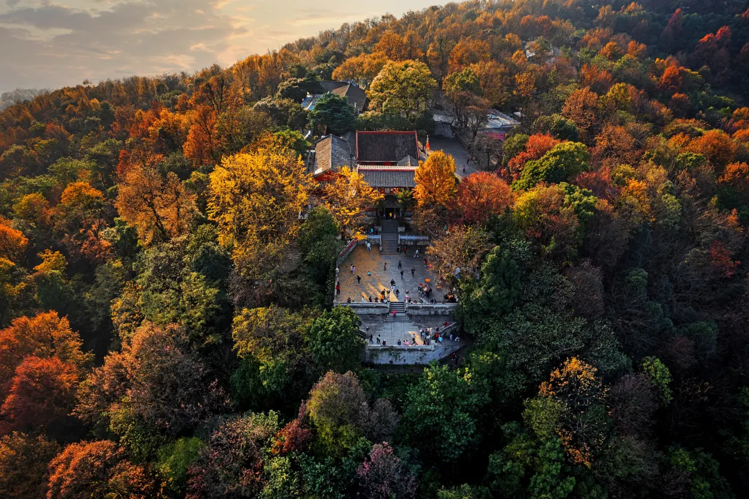 岳麓山图片图片