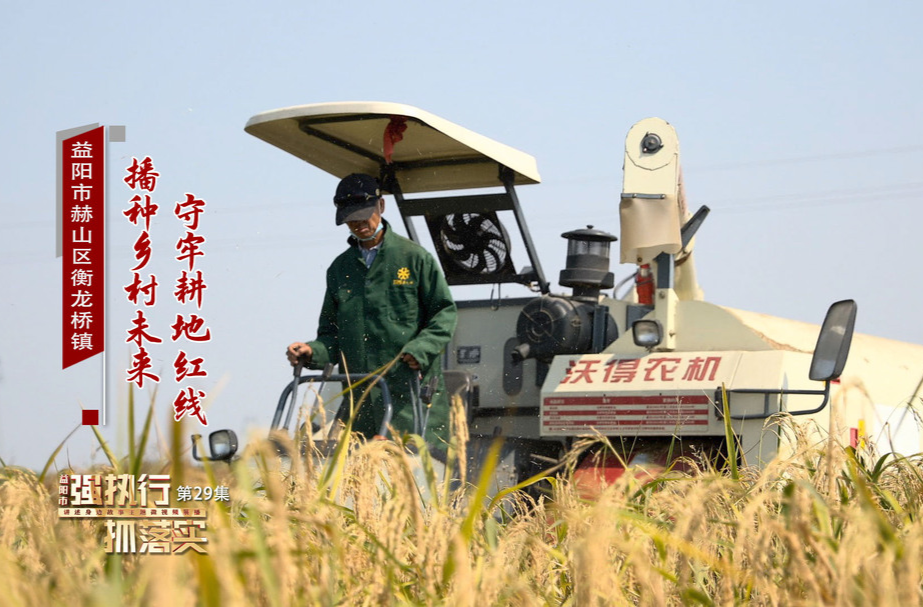 守牢耕地红线 播种乡村未来——益阳市赫山区衡龙桥镇