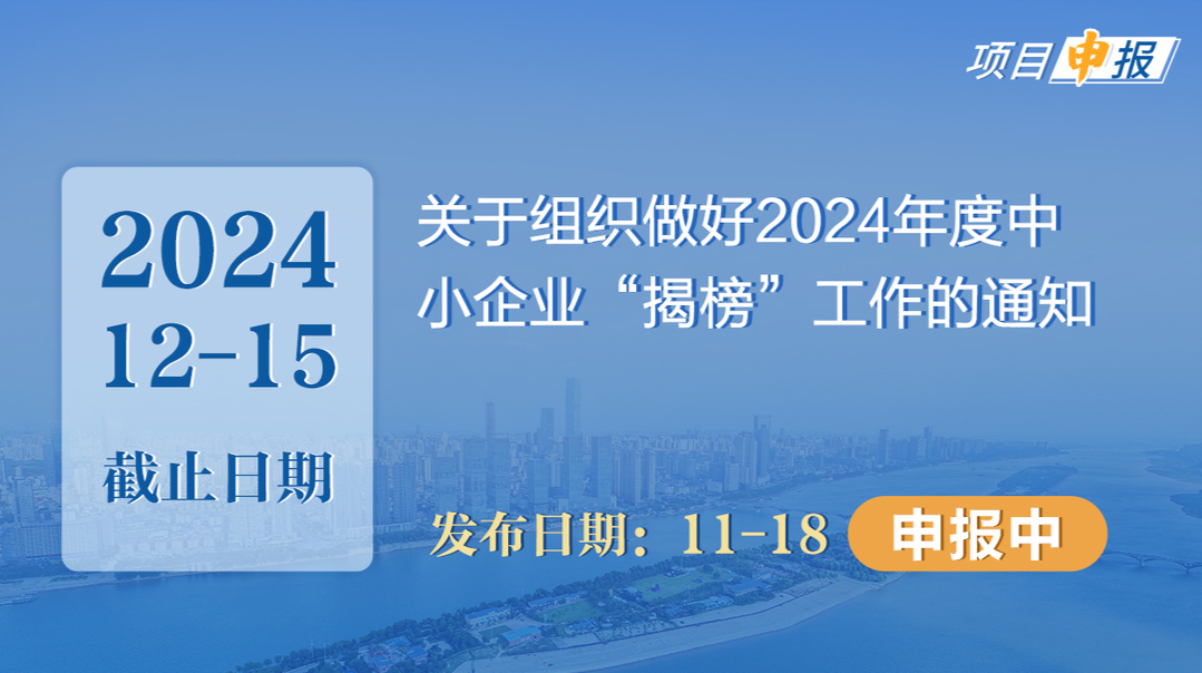 项目申报丨关于组织做好2024年度中小企业“揭榜”工作的通知