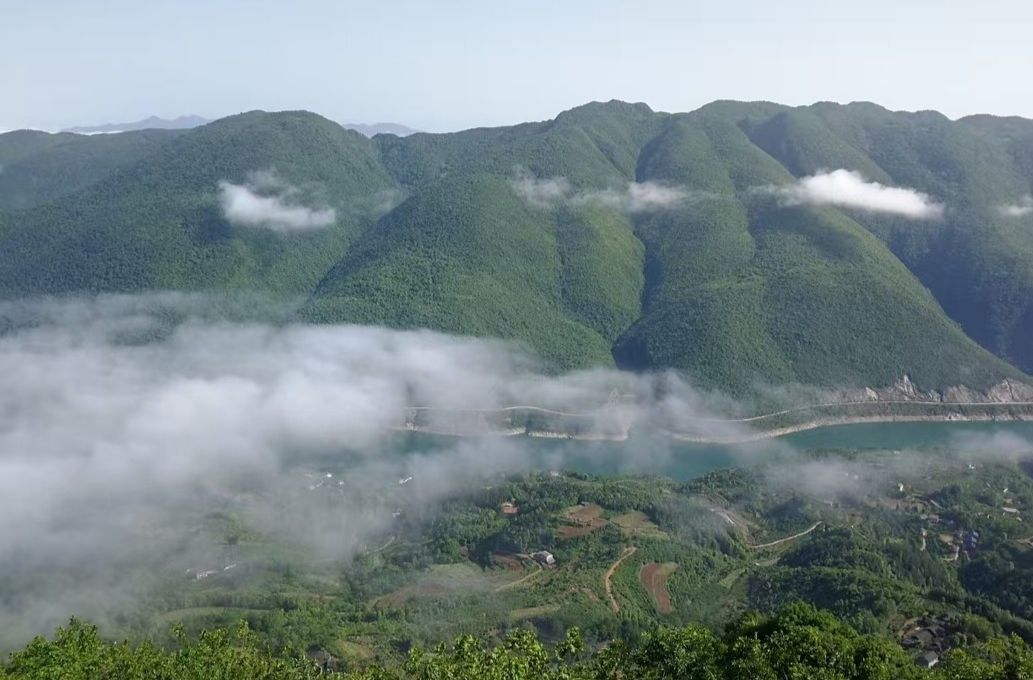 常德是个好地方|山水之间 常德石门打造云雾茶香文旅新画卷