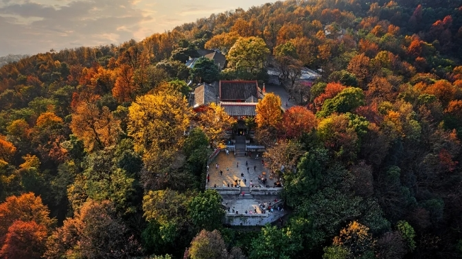 好“枫”景来了！本周六，岳麓山红枫节启幕！