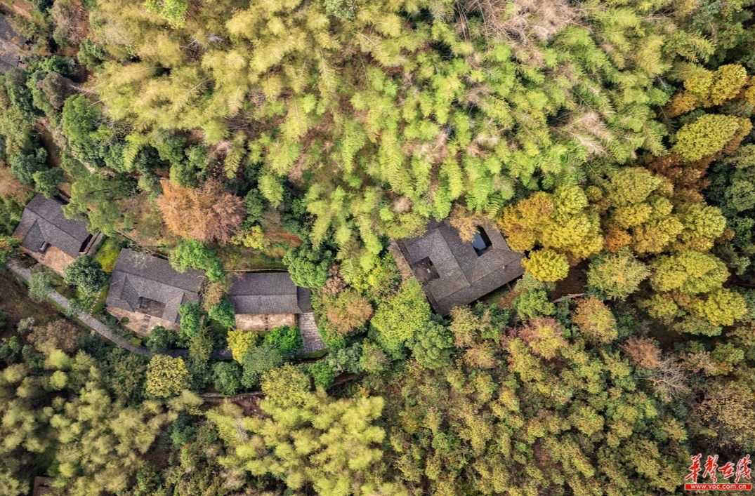 常德是個(gè)好地方|桃花源里有“云舍”：為了村落文化，他們往山谷里運(yùn)石頭