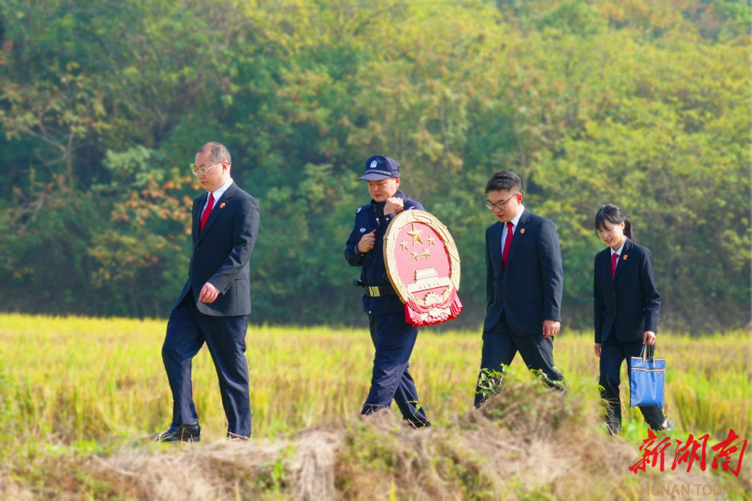 鹤岭人民法庭：调解妙招绘就止争“枫”景