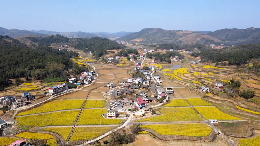 长沙理工大学驻点村入选2024年度省级美丽乡村（和美湘村）重点建设村名单