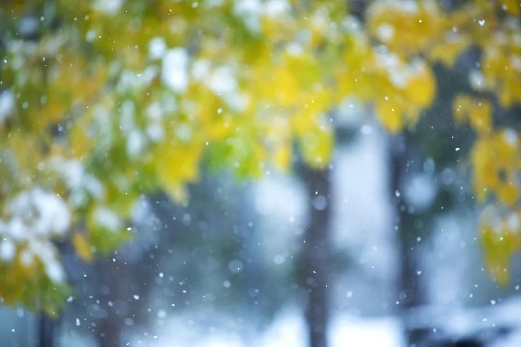 今日小雪：迎冬小雪至，应节晚虹藏