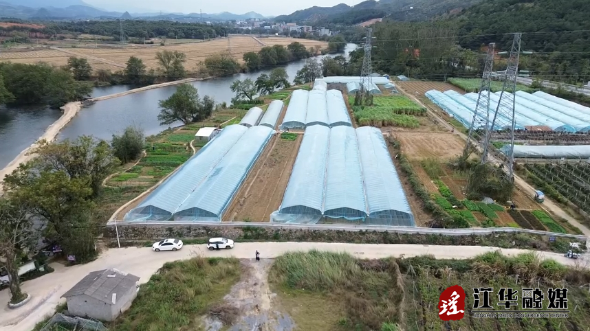 江華：頭茬草莓 搶“鮮”上市