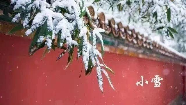 小雪至，寒冬始！冬季养生这八件事一定要做