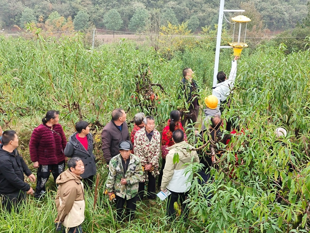 科技赋能植保　推进农药减量