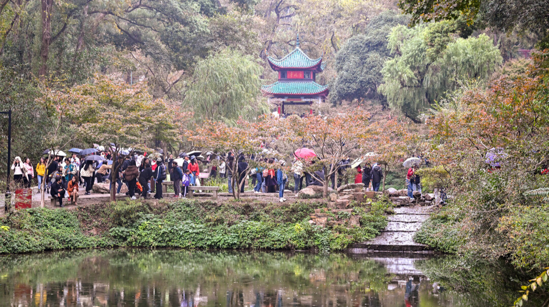 岳麓山 好“枫”景