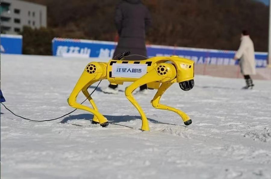 With AI robots and creative products, China embraces winter sports boom