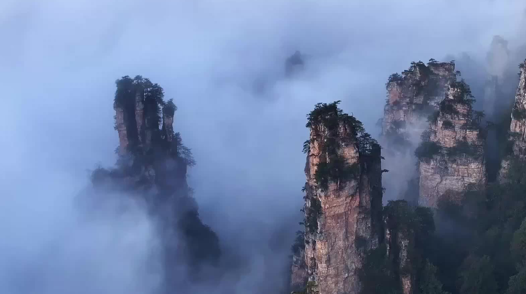 张家界：雨后云海绘就“峰林油画”