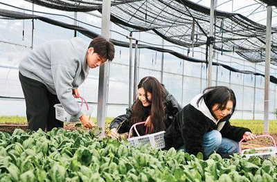 湖南零陵：  港澳学子香零山里访“种菜”