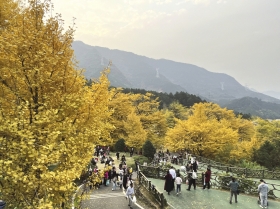 湖南5个赏古银杏好去处