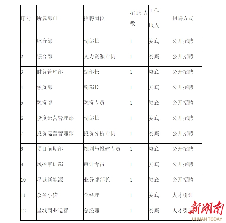 娄底市娄星工业集中区开发建设投资有限公司2024年公开招聘及人才引进公告