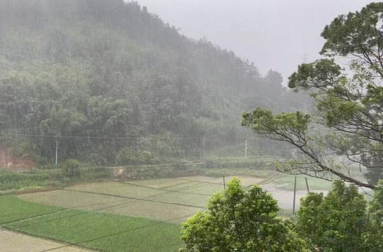 芙蓉国评论丨莲城e评：舞动乡村“民宿笔” 绘就振兴“新画卷”