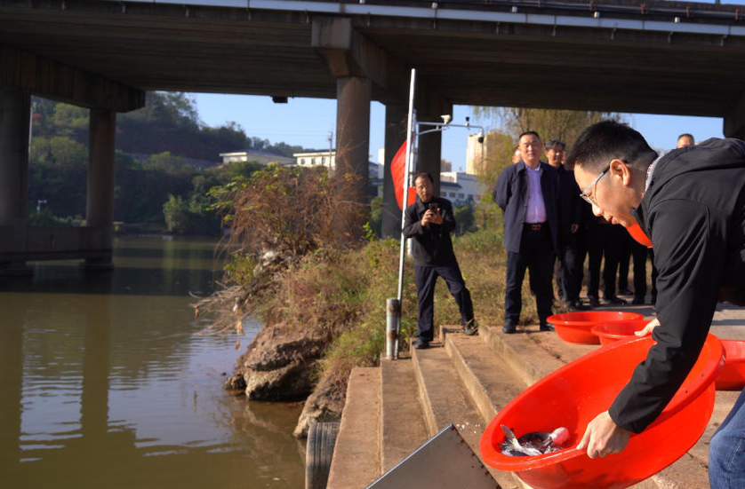 改善水域生态环境！衡阳县：130万尾鱼苗人工放流湘江支流蒸水河 