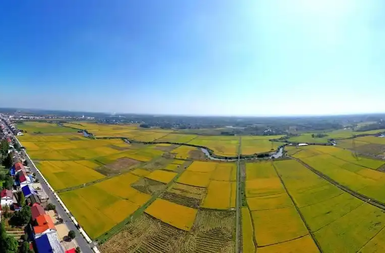 “明年種糧，衛(wèi)星都能派上場” 常德市鼎城區(qū)港中坪村500畝農田進行數字化升級改造丨湖南日報