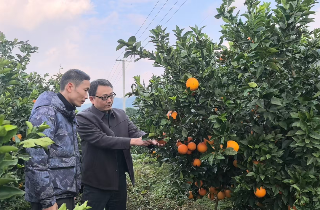 常德永兴桥村驻村工作队：乡村振兴路上勇当红色先锋