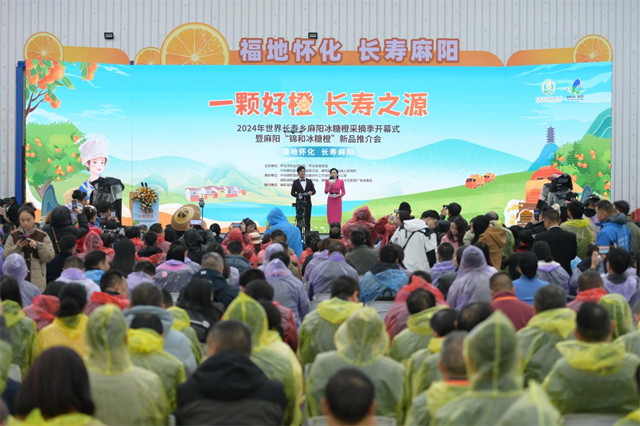 260 Mln CNY of Intent Purchase Deals Inked at 2024 Mayang Sweet Orange Picking Season