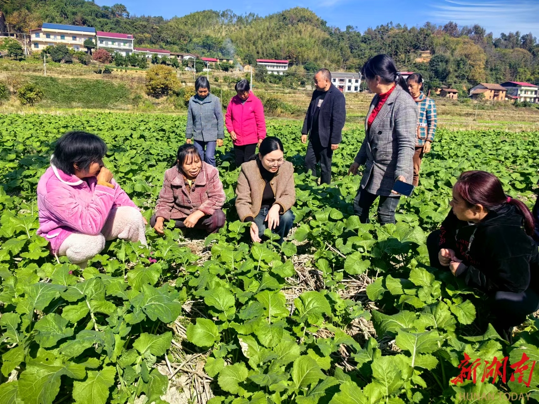 安仁：搭建“乡见课堂” 赋能乡村振兴