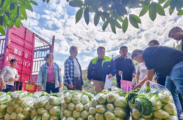 Vegetable Orders Help Farmers Increase Income