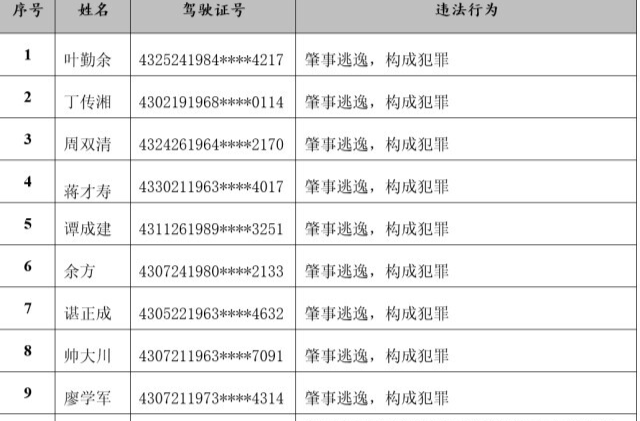 湖南20人被终生禁驾