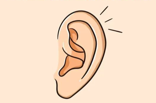 耳朵需不需要经常掏？