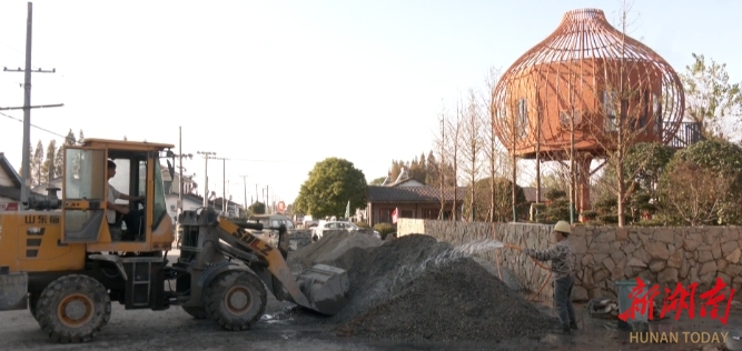 君山即将进入观鸟季 观鸟民宿项目建设如火如荼