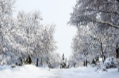 大雪节气到来，湖南今年会下大雪吗