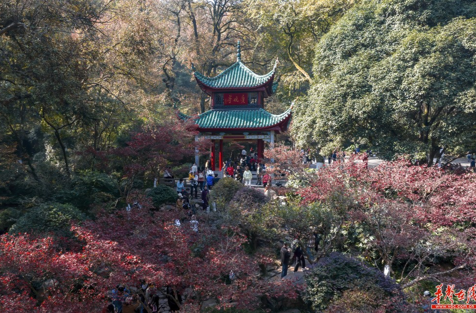 初冬限定！湖南這些地方值得一去