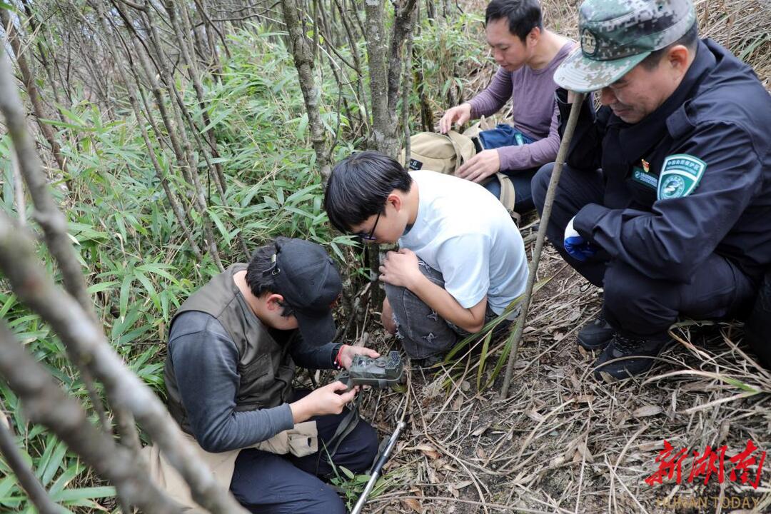 宁远县九嶷山国家级自然保护区：将候鸟保护融入日常工作