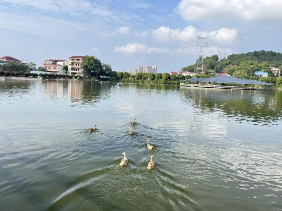 美丽湖南丨永州市零陵区：以“生态绿”描绘“幸福红”