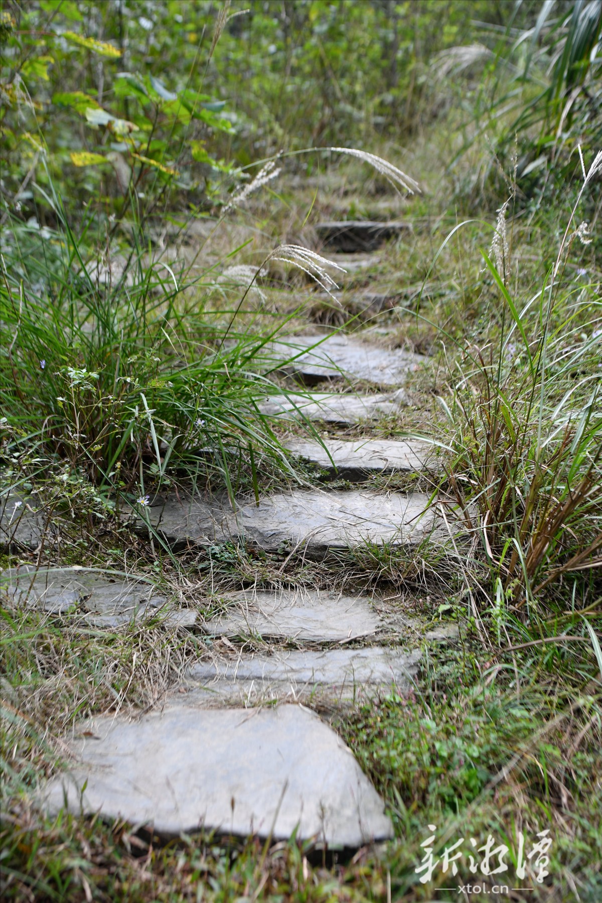 湘军古道：历史沧桑与湖湘精神的见证