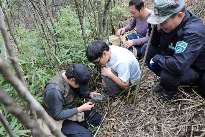 湖南寧遠將候鳥保護融入日常工作