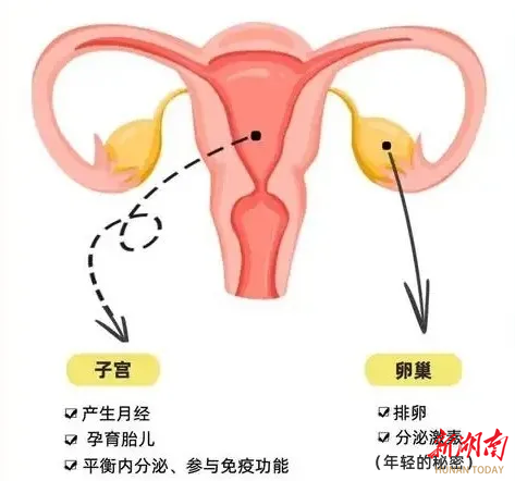 央视前主持人自曝：子宫全切！子宫切除后，对女性的影响有哪些？