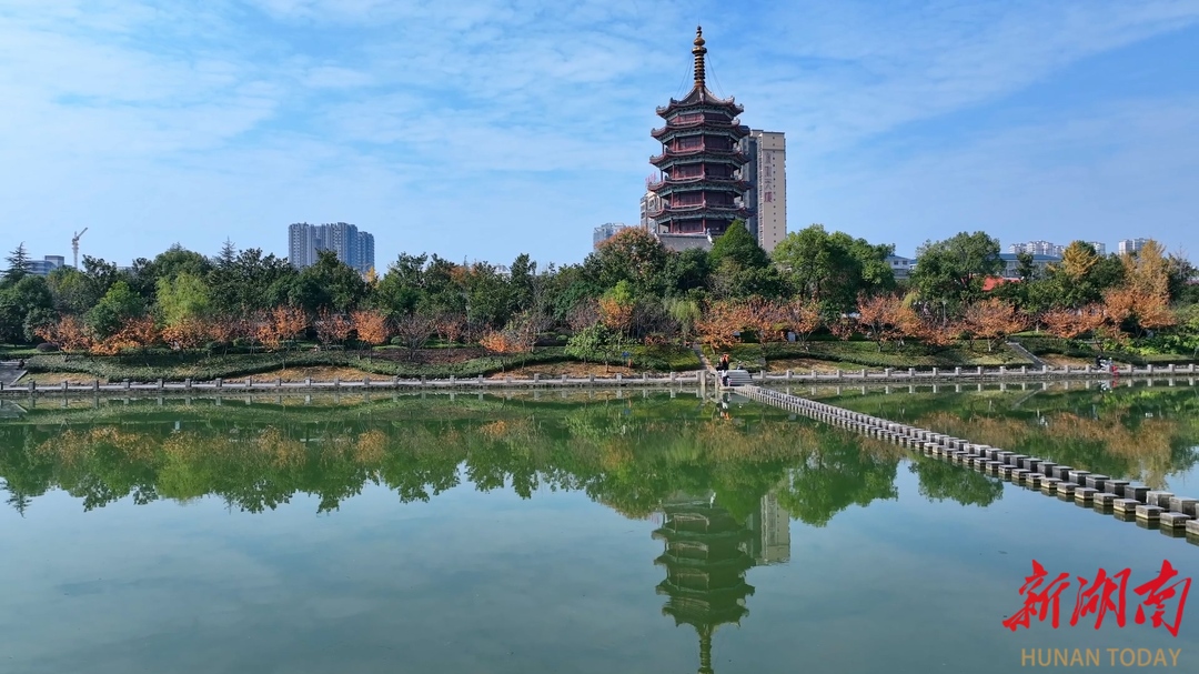 怀化市鹤城区：鹤鸣洲畔初冬至斑斓盛景入画来