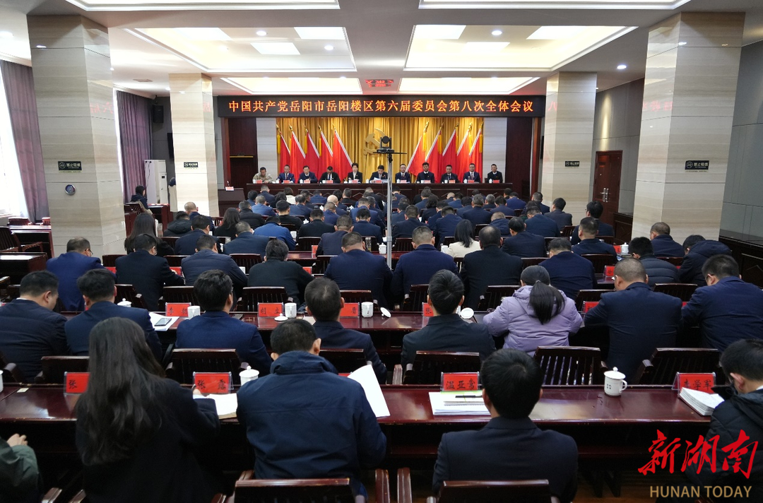 岳阳楼区委六届八次全会召开