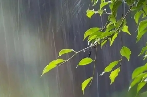 今明两天省内以阴雨天气为主