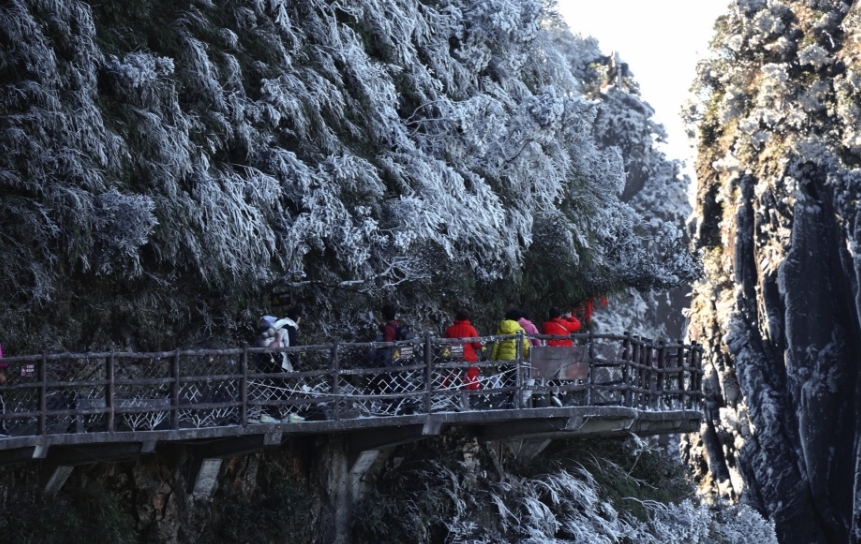 組圖丨莽山五指峰，冬日冰雪奇緣