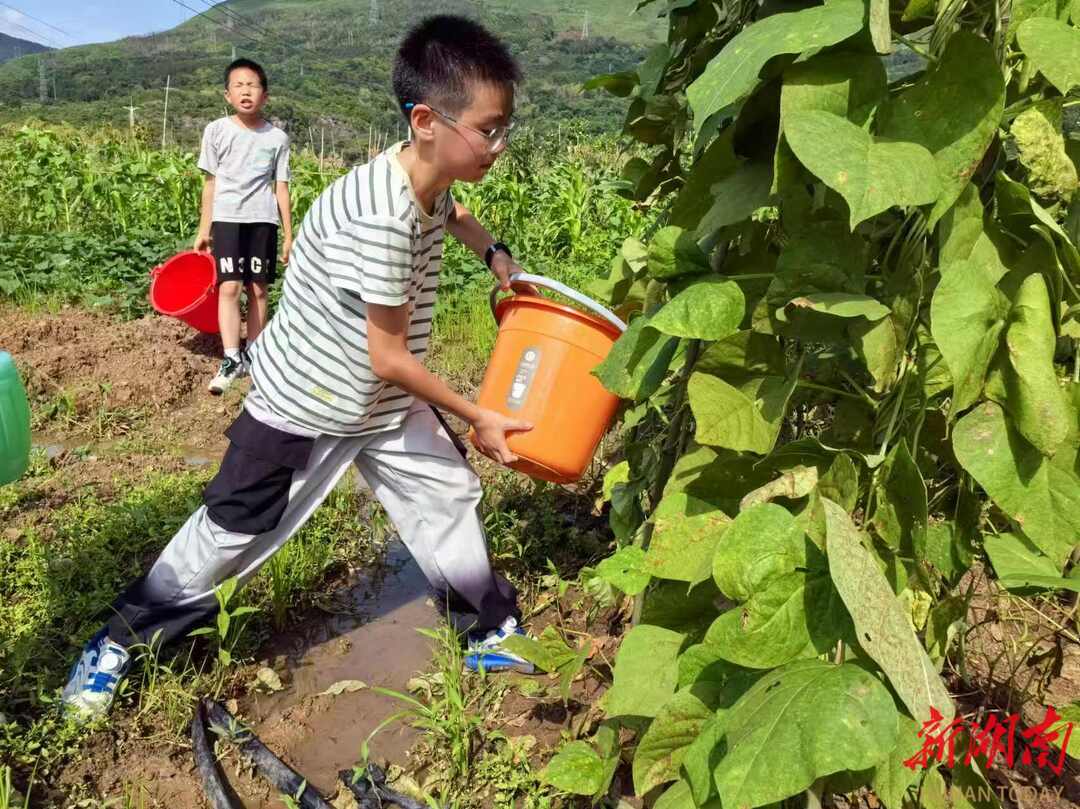 双牌二小：劳以启智动以润心