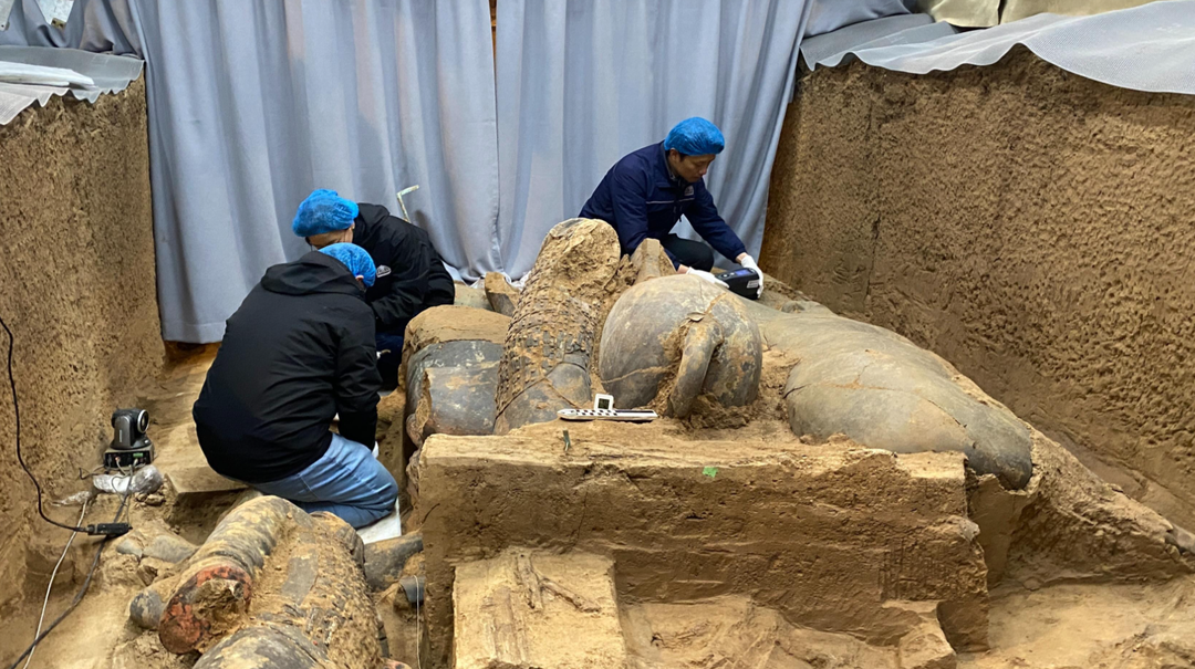 秦兵马俑考古新进展！二号坑发现两处战车遗迹和三名“车兵”俑