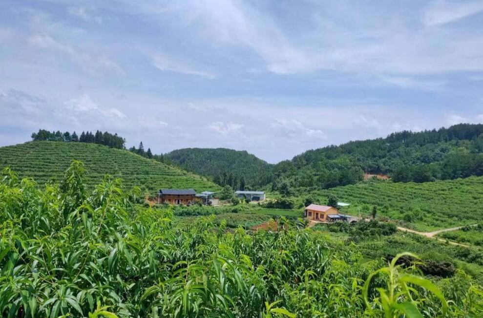 新晃洞坡村：湘黔邊界黨旗紅 強(qiáng)村富民出實(shí)招