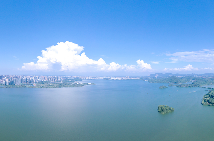 南湖新区“壮马赋能”为基层“强筋健骨”