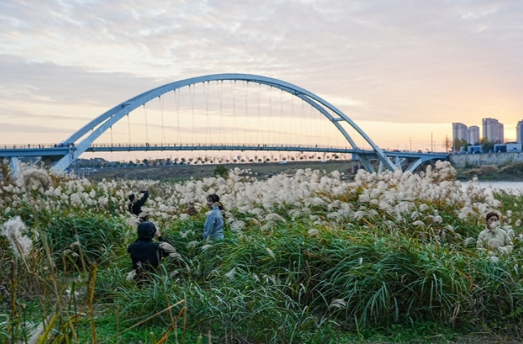 Charming Winter Scenery of Baxi Isle