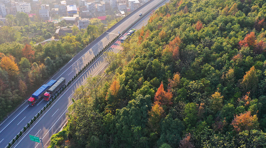 路暢景美