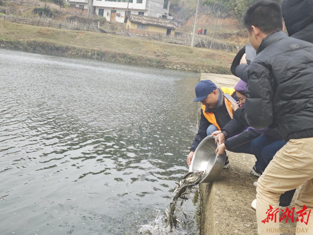 浏阳澄潭江：鱼跃南川碧水，共筑生态平衡