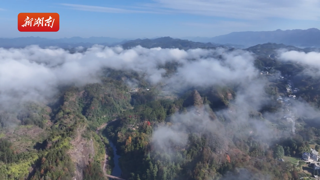 龙山猛洞河峡谷晨雾缭绕 逶迤群峰如“蓬莱仙境”