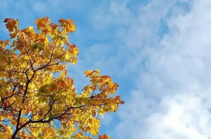 湖南未来三天冷晴少雨，天干物燥需注意森林防火