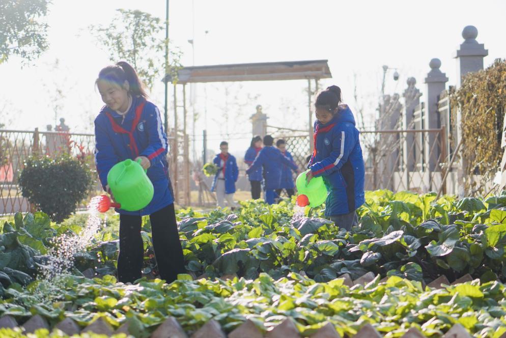 南县洗马湖学校：劳动教育结硕果 喜获省级实验校称号