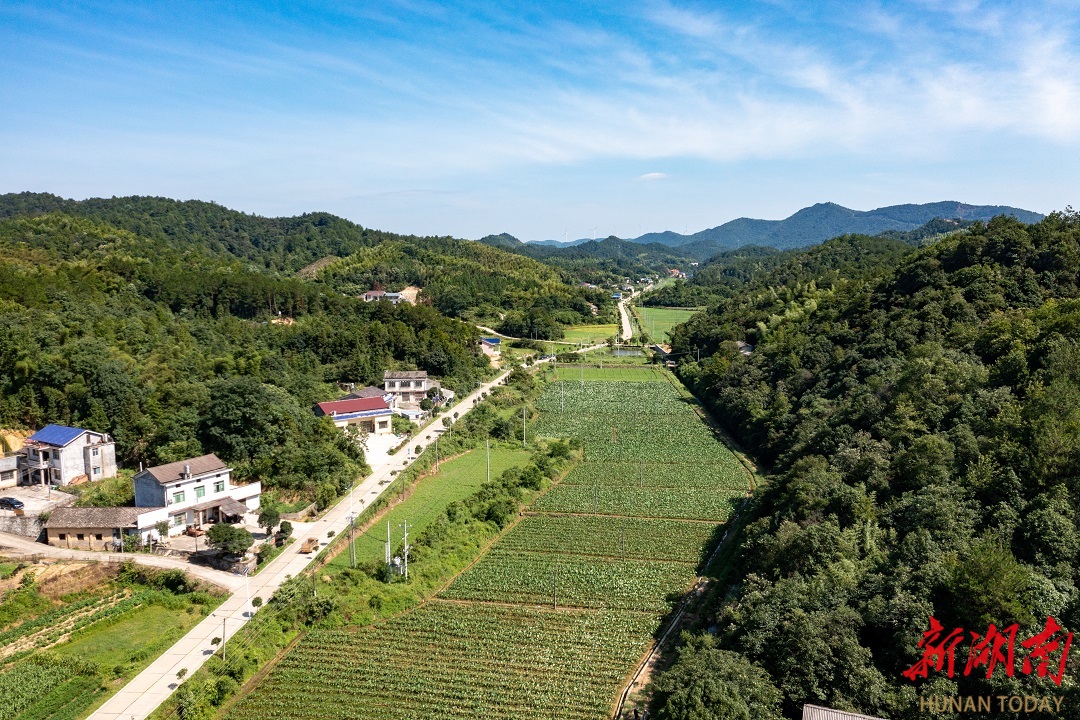 韶山市云源村：拓寬增收路 共繪致富景